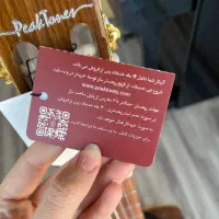 گیتارپیک تونز مدل L2 در رویال موزیک