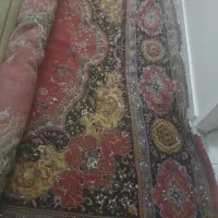 چند قالی برای باغ به فروش می‌رسد|فرش|شیراز, مسلم|دیوار