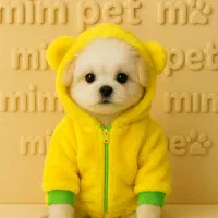 لباس حیوانات