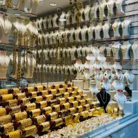 زنجیرست کارتیر ۵ درصدکلا بالای تابلو|جواهرات|شیراز, بازار|دیوار