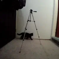 پایه دوربین عکاسی|دوربین عکاسی و فیلم‌برداری|تبریز, |دیوار