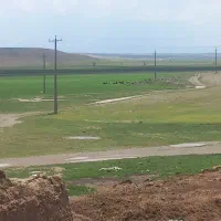 آگهی استخدام   سرمایه داری