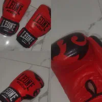 دستکش کیک بوکسینگ.نوِ نو