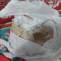 قفس