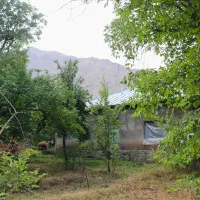 خانه باغ سنددار ۱۱۰۰ متری در روستای امن جاده چالوس|فروش خانه و ویلا|آسارا, |دیوار