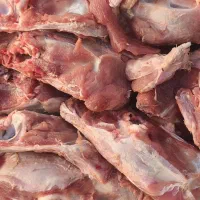 غذای سگ و گربه، طبع گرم برای فصل سرد