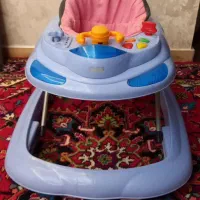 یک روروئک سالم و تمیز