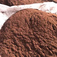 پودر گوشت دامی