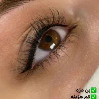 میکرویزدانی