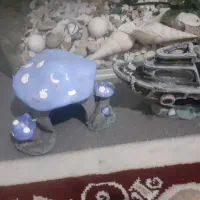 اکواریوم ماهیران|ماهی|پاکدشت, پاکدشت (مامازند)|دیوار