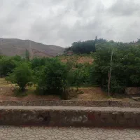 زمین کشاورزی سعید آباد