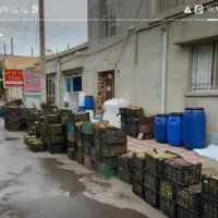 انگور قرمز شاهرودی درجه دو سالم زیرو سبد.