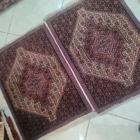 جفت پشتی درحد نو