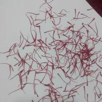 زعفران|خوردنی و آشامیدنی|تربت جام, میان جام|دیوار