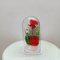 انواع باکس گل مانی