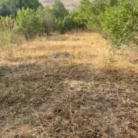 ۴۰۰متر زمین (منشاد)