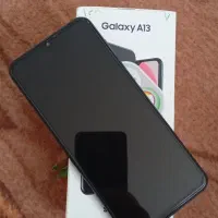 a13