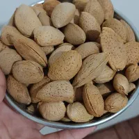 بادام درختی