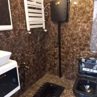 نصب و تعمیر شیرآلات فلاش تانک و توالت فرنگی|خدمات پیشه و مهارت|مهاجران, |دیوار