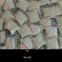 پودر شپش تضمینی