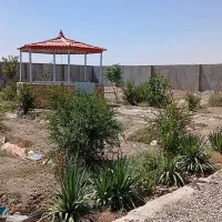 باغ باساختمان ودرخت۴ساله