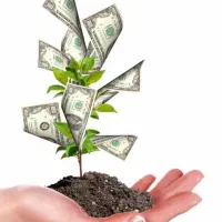 نیازمند سرمایه با سودهیه عالی