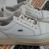 نیم بوت سایز ۴۰ و کفش مردانه سایز ۴۳|کیف، کفش، کمربند|ایلام, |دیوار