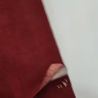 موکت تر و تمیز