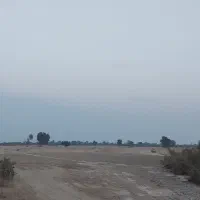 فروش زمین کشاورزی بیست هکتار|فروش دفتر صنعتی، کشاورزی، تجاری|بندرعباس, |دیوار