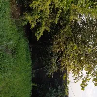 فروش زمین