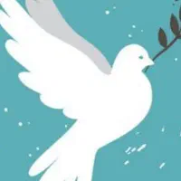 کانال کفتر بازان و خرید و فروش کبوتر کوه چنار.