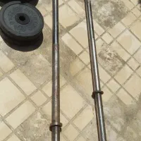 میله هالتر