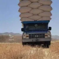 خریدوفروش انواع کاه