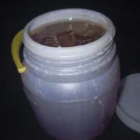 گون و اویشن