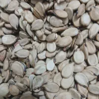 تخم کلاله تازه پوست نازک
