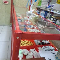 لوازم الکتریکی تخفیف زیر قیمت بازار بدلیل تغیر شغل|لامپ و چراغ|سنندج, |دیوار