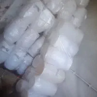 دبه ترشی  و عنوای برنج عدس  و