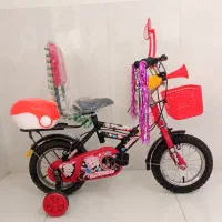 ۲ دستگاه دوچرخه ۱۲ برای دوقلو ها