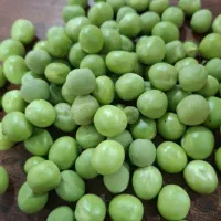 نخود فرنگی سبز