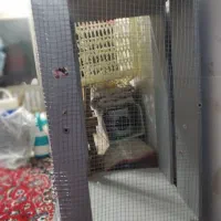 قفس بزرگ|پرنده|نجف‌آباد, شهدای غربی|دیوار