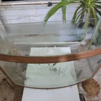 آکواریوم شیشه خم