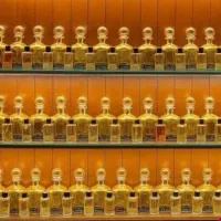 عطر و ترکیبات تخصصی|آرایشی، بهداشتی، درمانی|قم, نیروگاه|دیوار