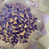 گل های روبانی|گل و گیاه طبیعی|خوی, |دیوار