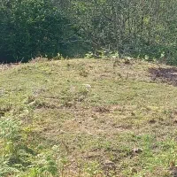 4617متر 500متر مسکونی|فروش زمین و ملک کلنگی|لاهیجان, آهندان|دیوار