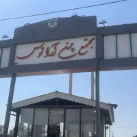 زمین باغی کاهو