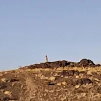 فروش-زمین-مناسب-ساخت-باغ-در-روستا