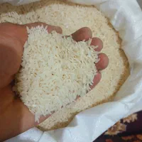 فروش برنج طارم هاشمی