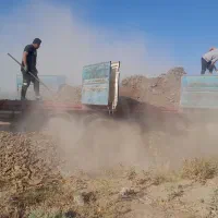 کودمرغ گوشتی سالنی خالص ودرجه ۱|خدمات باغبانی و درختکاری|زرند, |دیوار