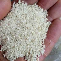 برنج ریزدانه هاشمی