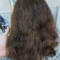 موخوره گیری